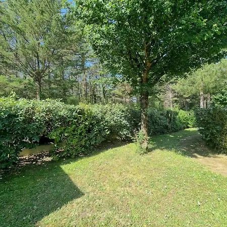 Foret Piscine Collective Victoria 404 Holiday home